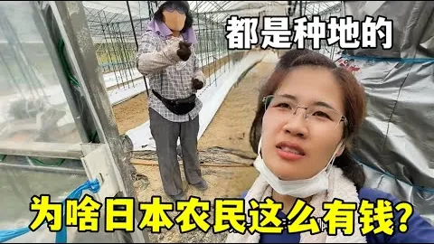联赛二传接应后备力量匮乏，许晓婷、陈博雅表现一般，急需挖掘05后新星潜力。